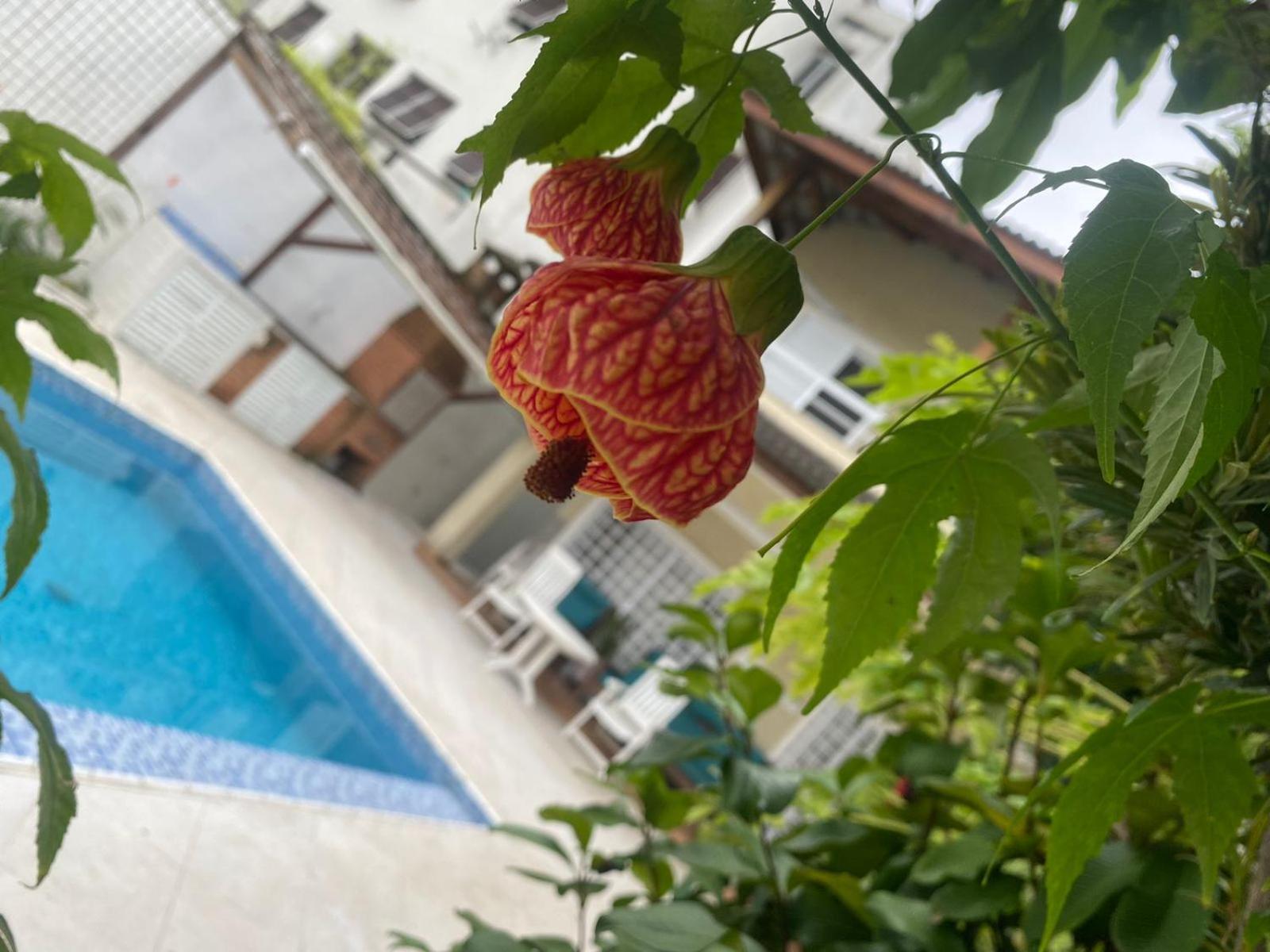 Pousada Do Tio Cido Guarujá Exterior foto